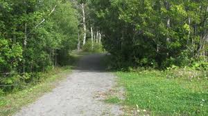 johnny miles memorial trail.jpg